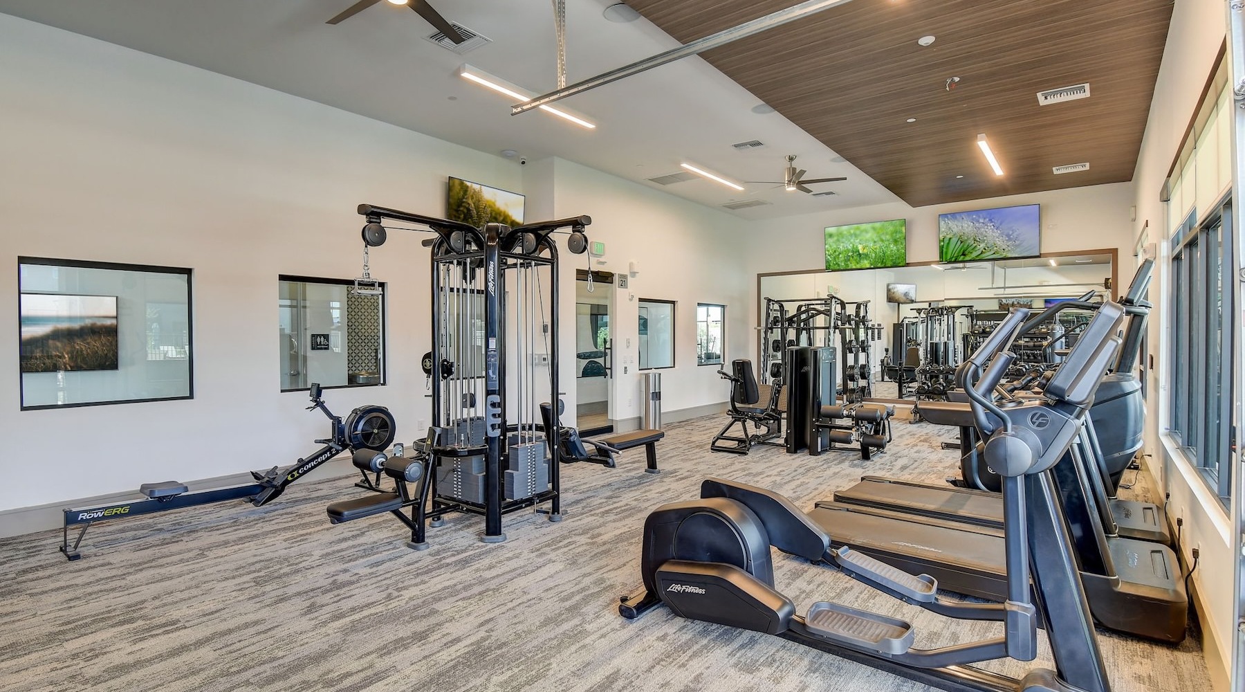 Get your workout on a gym with exercise equipment