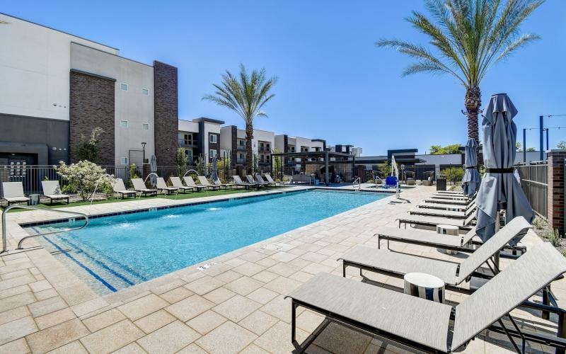 a swimming pool with lounge chairs and palm trees